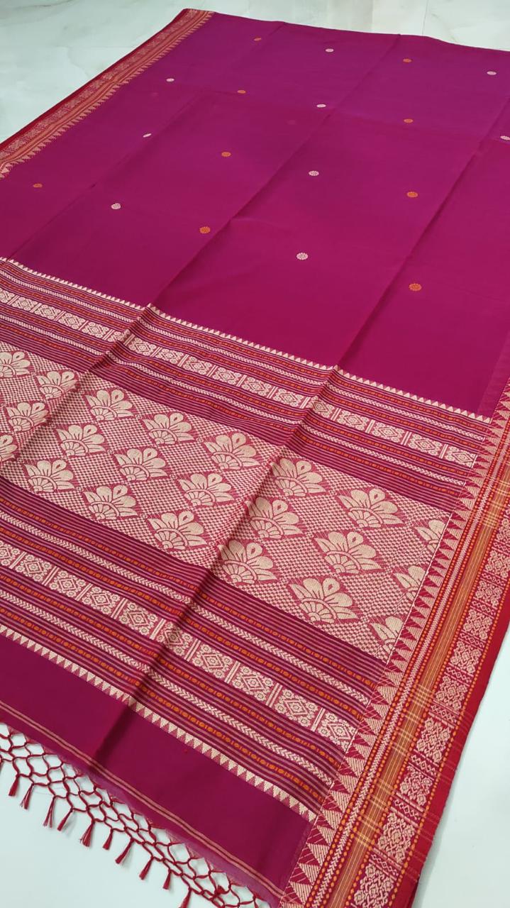 Handloom cotton saree
