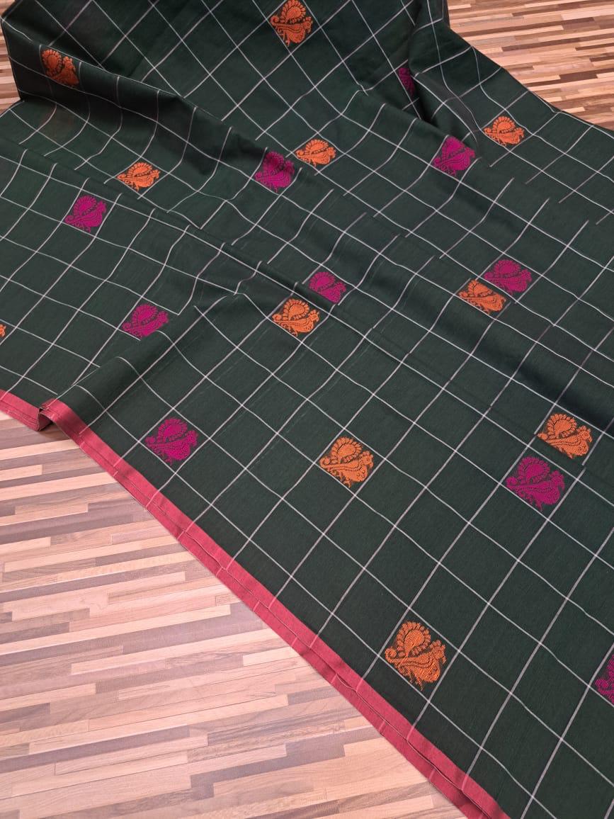 Handloom cotton saree