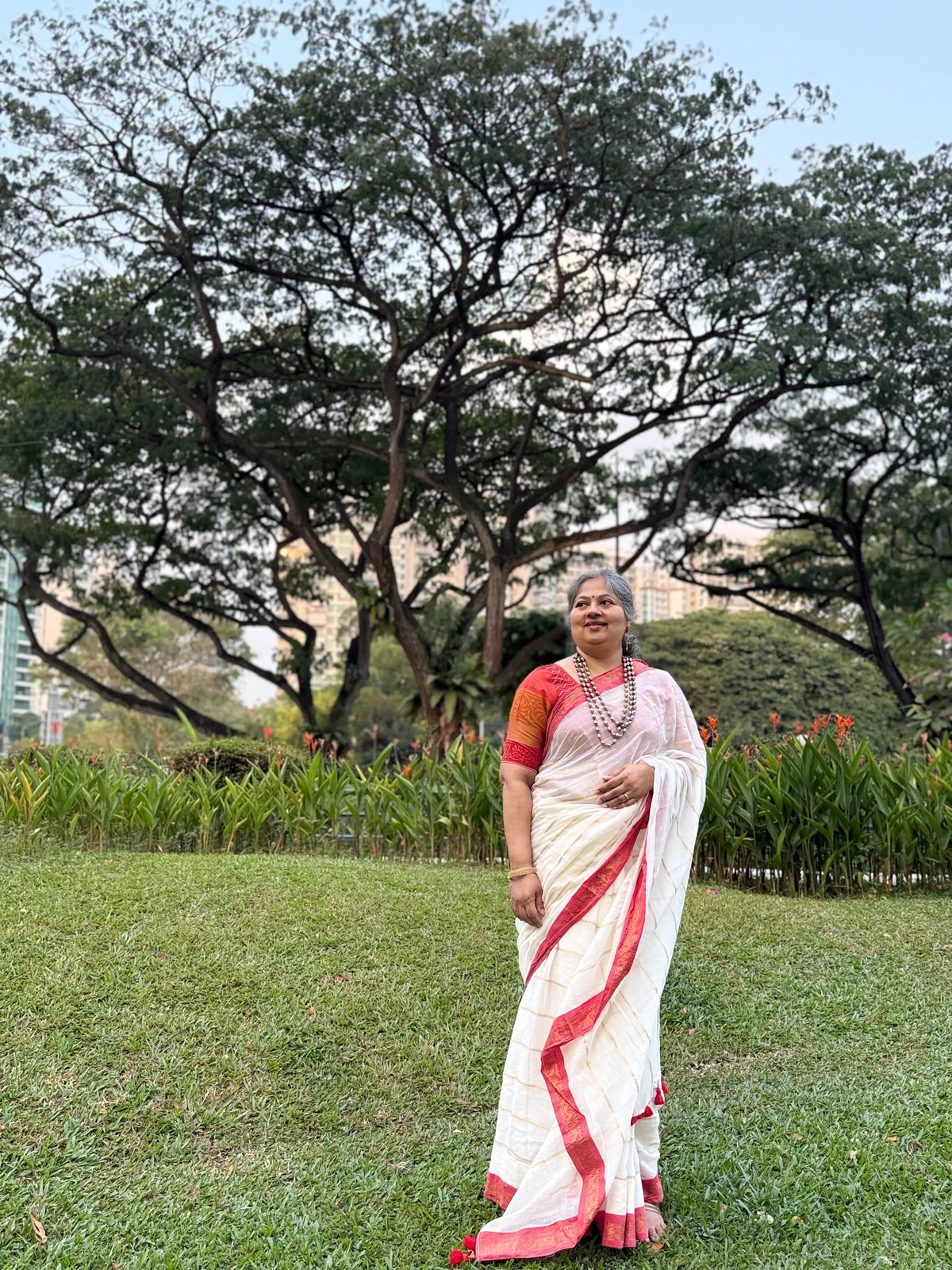 Off white red Kanchi border golden stripe saree