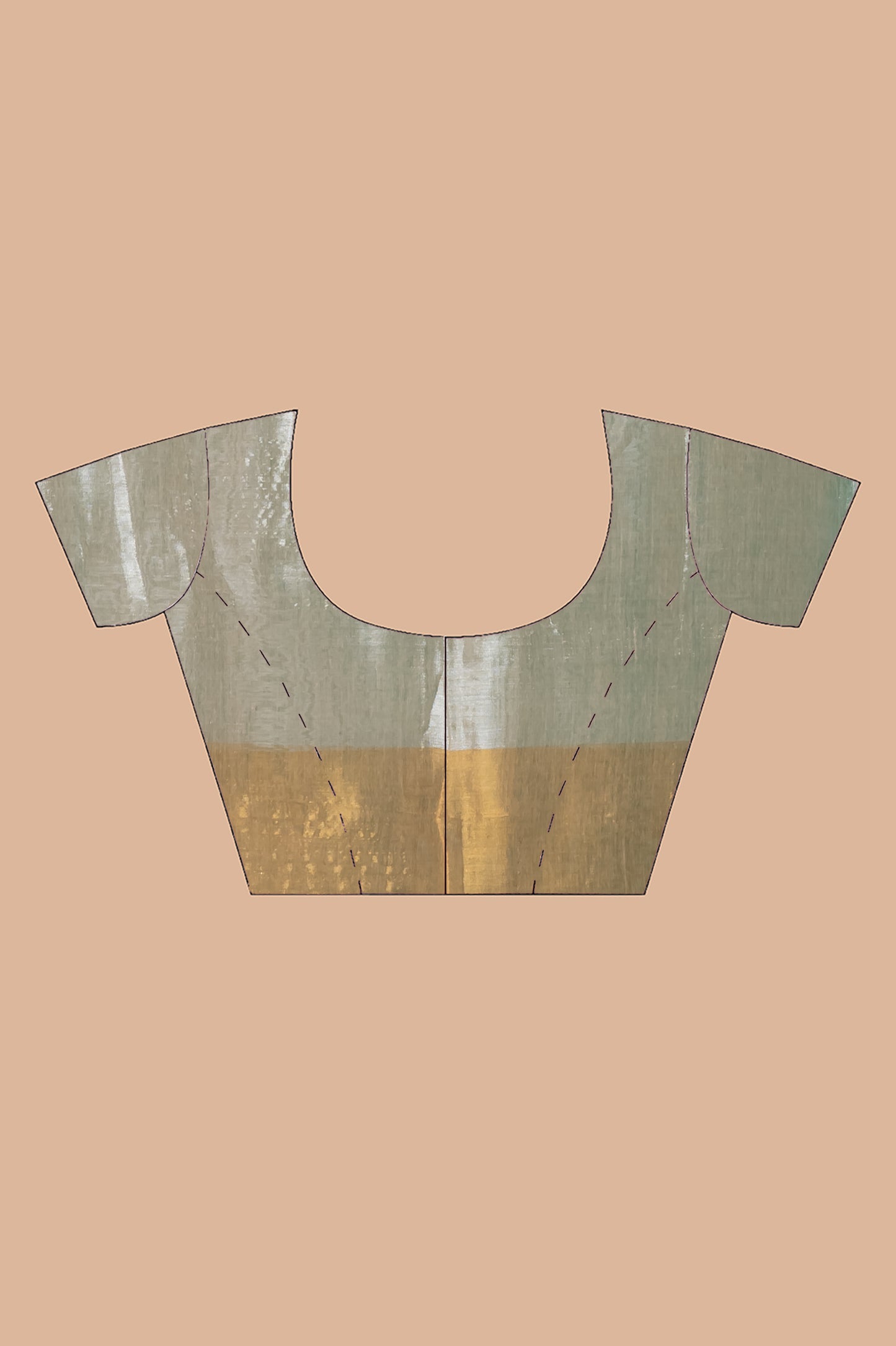 Half n half gold silver Tissue cotton saree