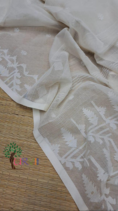 Handloom cotton jamdanis